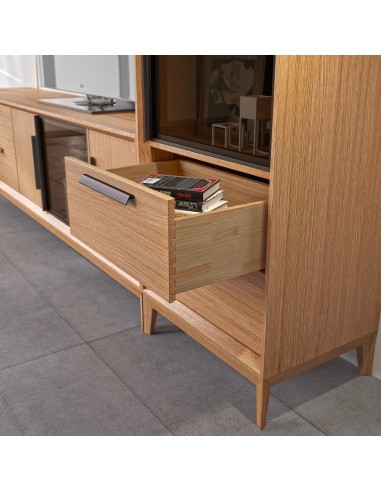 Mueble de salón 19C de estilo nórdico-industrial de Divogue 2