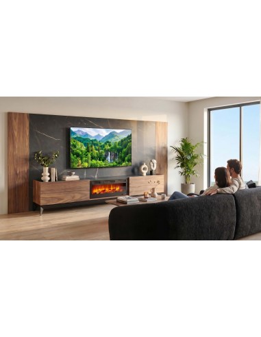 Mueble Salón Chimenea... 2